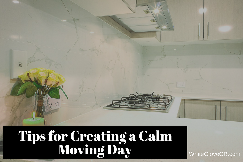Tips for Creating a Calm Moving Day