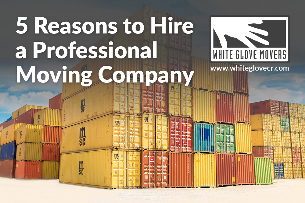 5 Reasons to Hire a Professional Moving Company