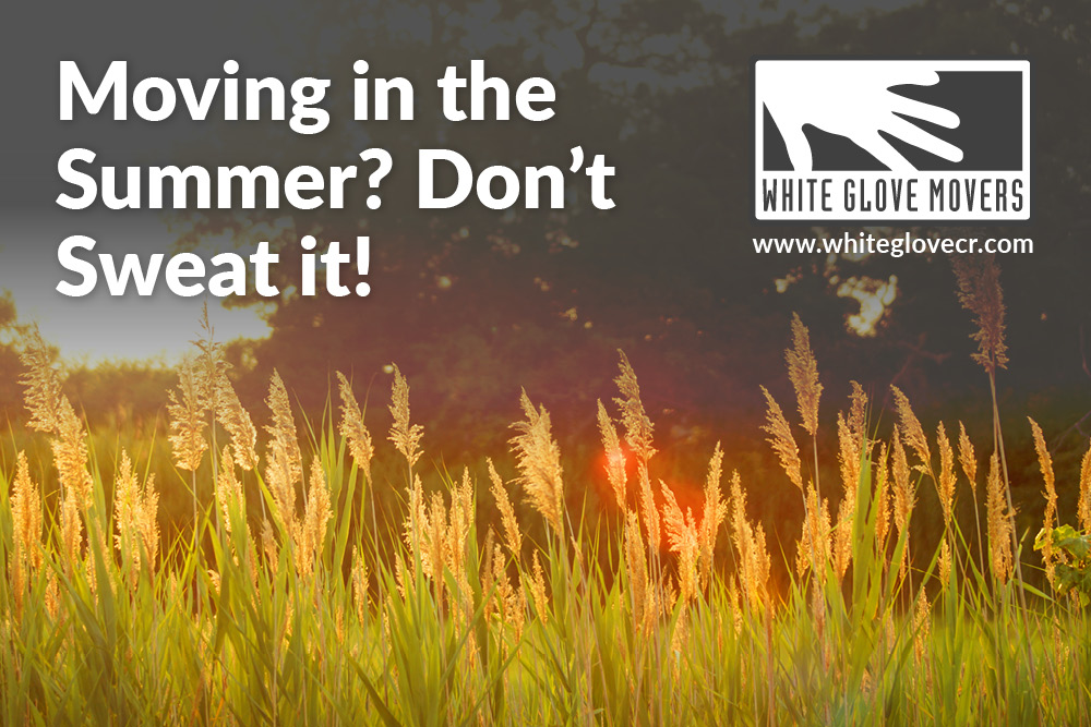Moving in the Summer? Don’t Sweat it!