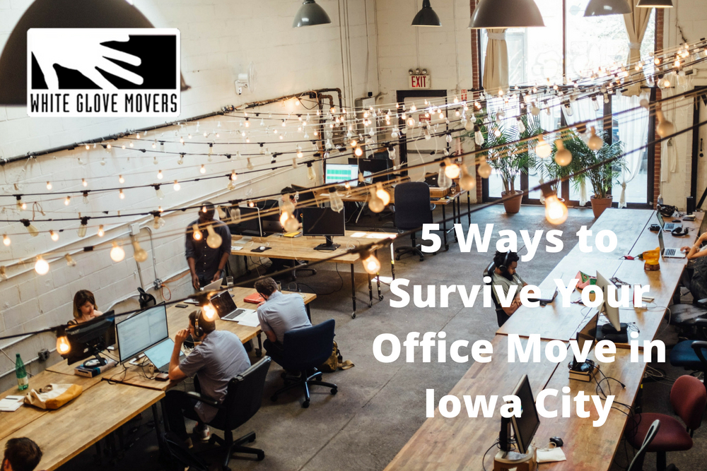 5 Ways to Survive Your Office Move in Iowa City