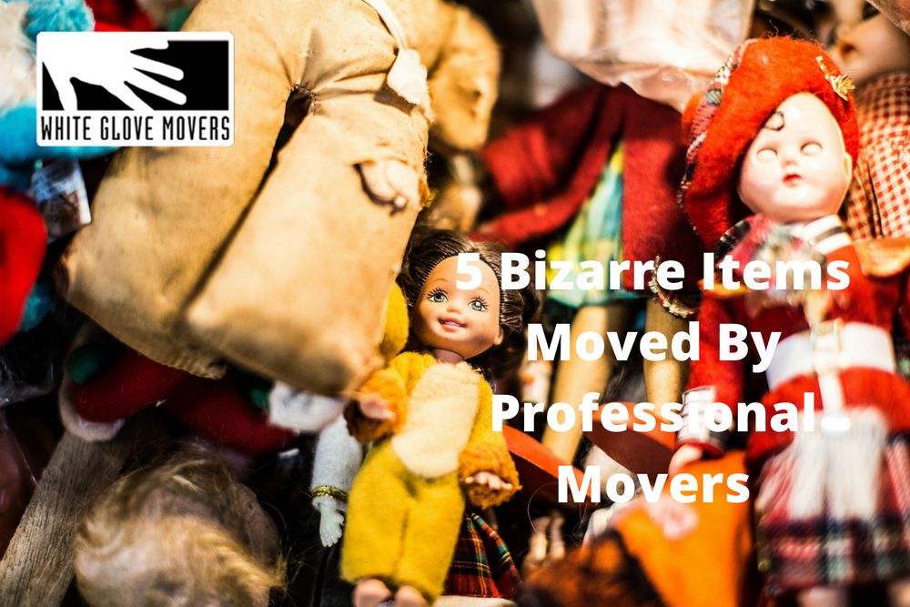 5 Bizarre Items Moved By Professional Movers