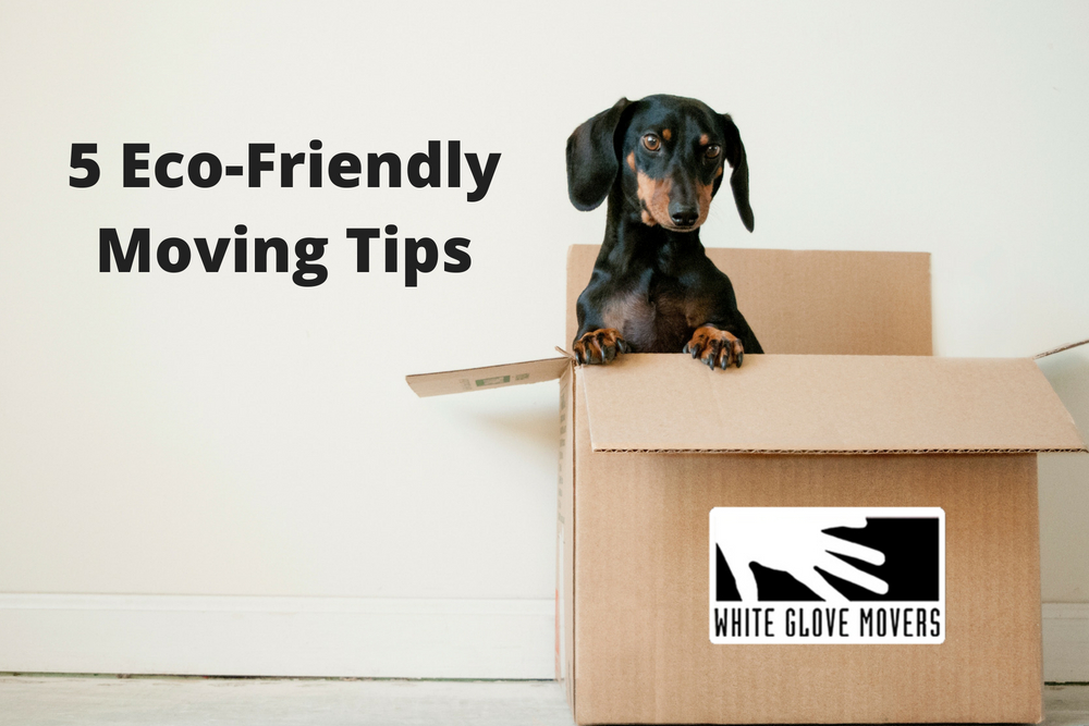 5 Eco-Friendly Moving Tips