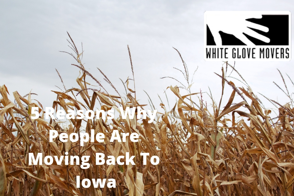 5 Reasons Why People Are Moving Back To Iowa