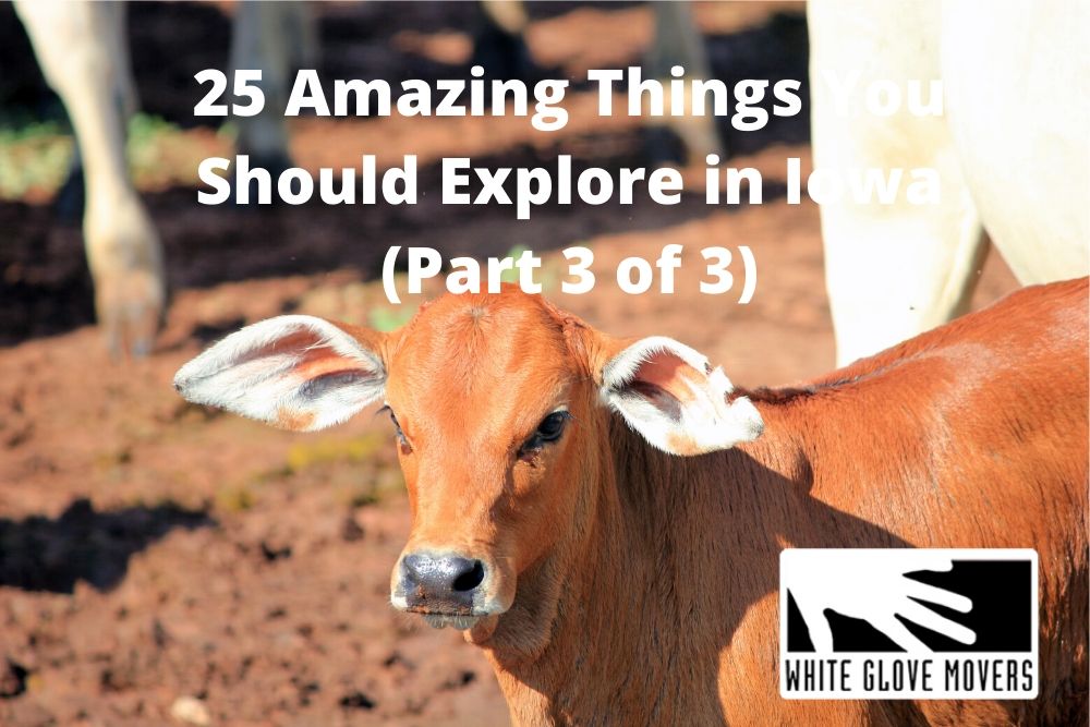 25 Amazing Things You Should Explore in Iowa (Part 3 of 3)