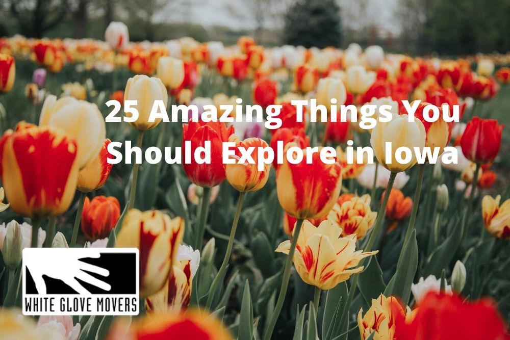 25 Amazing Things You Should Explore in Iowa (Part 1 of 3)